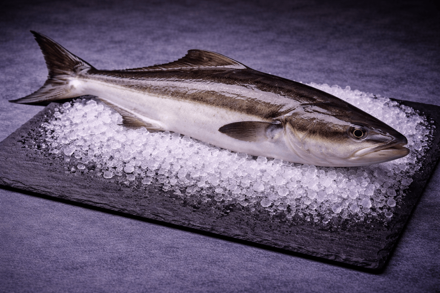 Kampachi